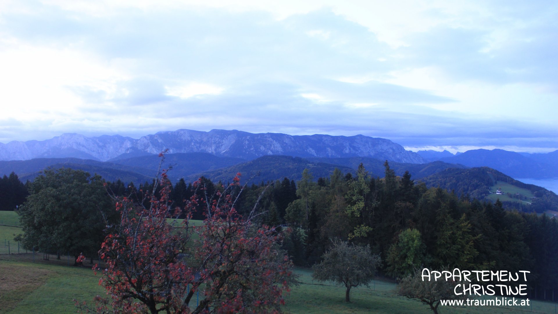 Live Ansicht Webcam Attersee | Höllengebirge