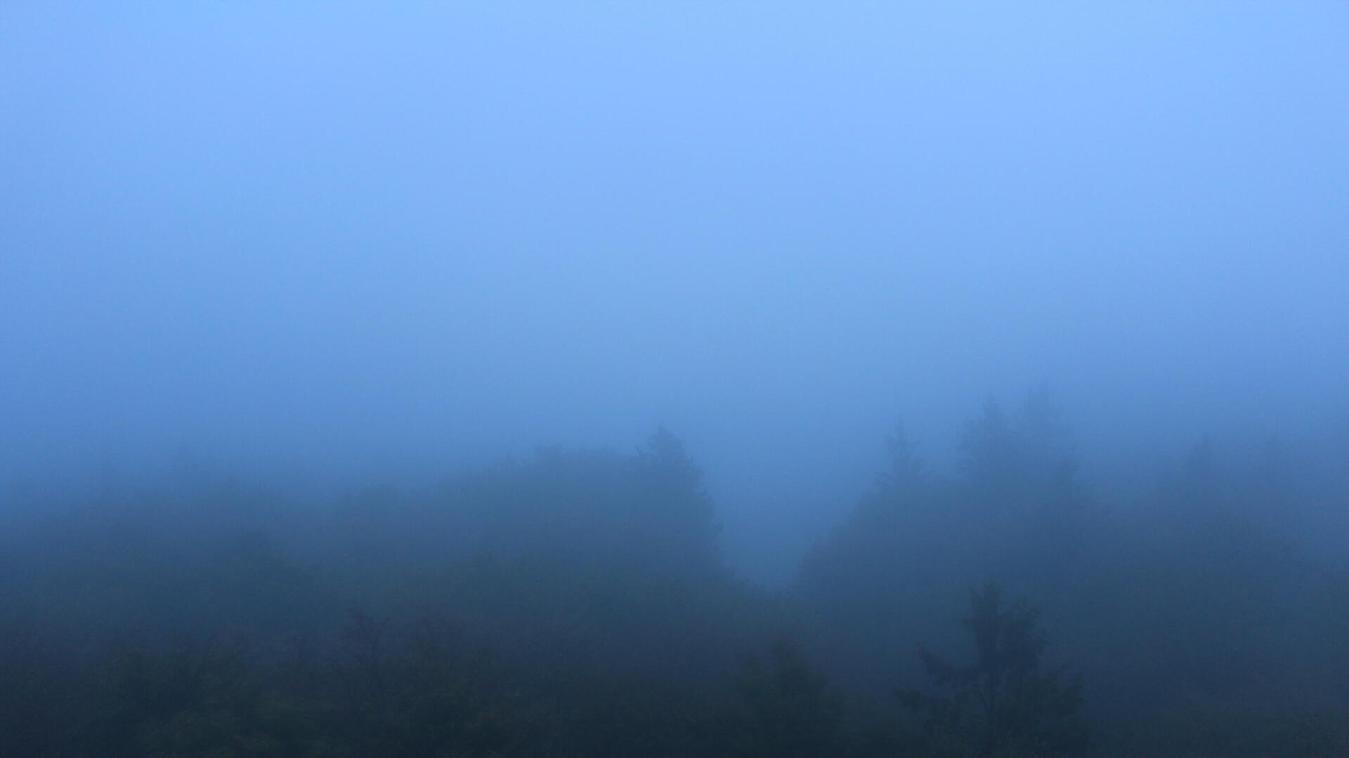 Live Ansicht Webcam Böhmerwaldturm-Süd
