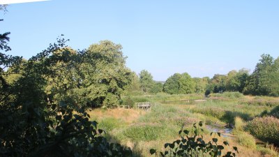 Donauursprung Breg2