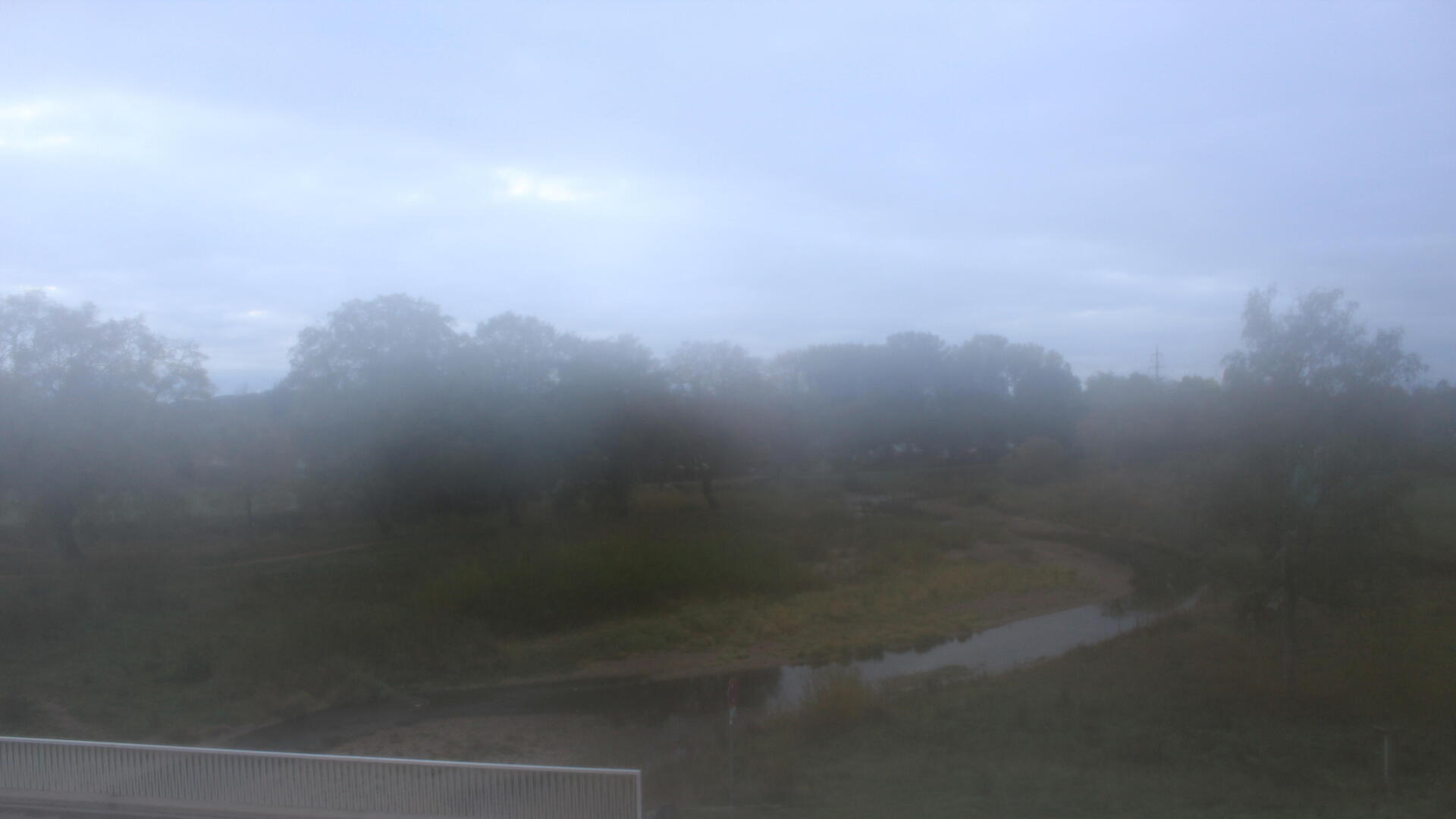 Live Ansicht Webcam Auepark Donauursprung (Breg)