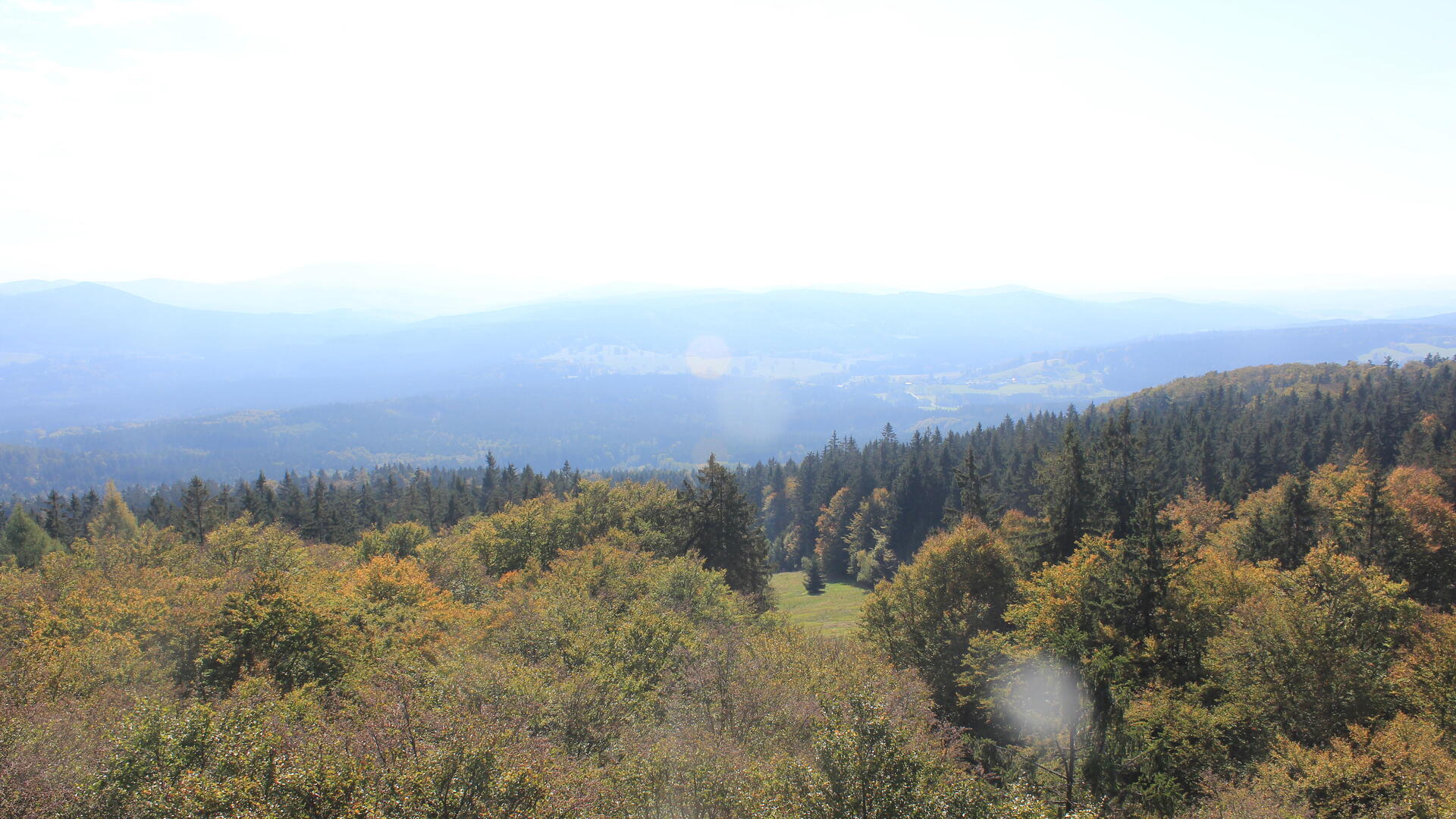 Live webcam view Bohemian Forest Tower South
