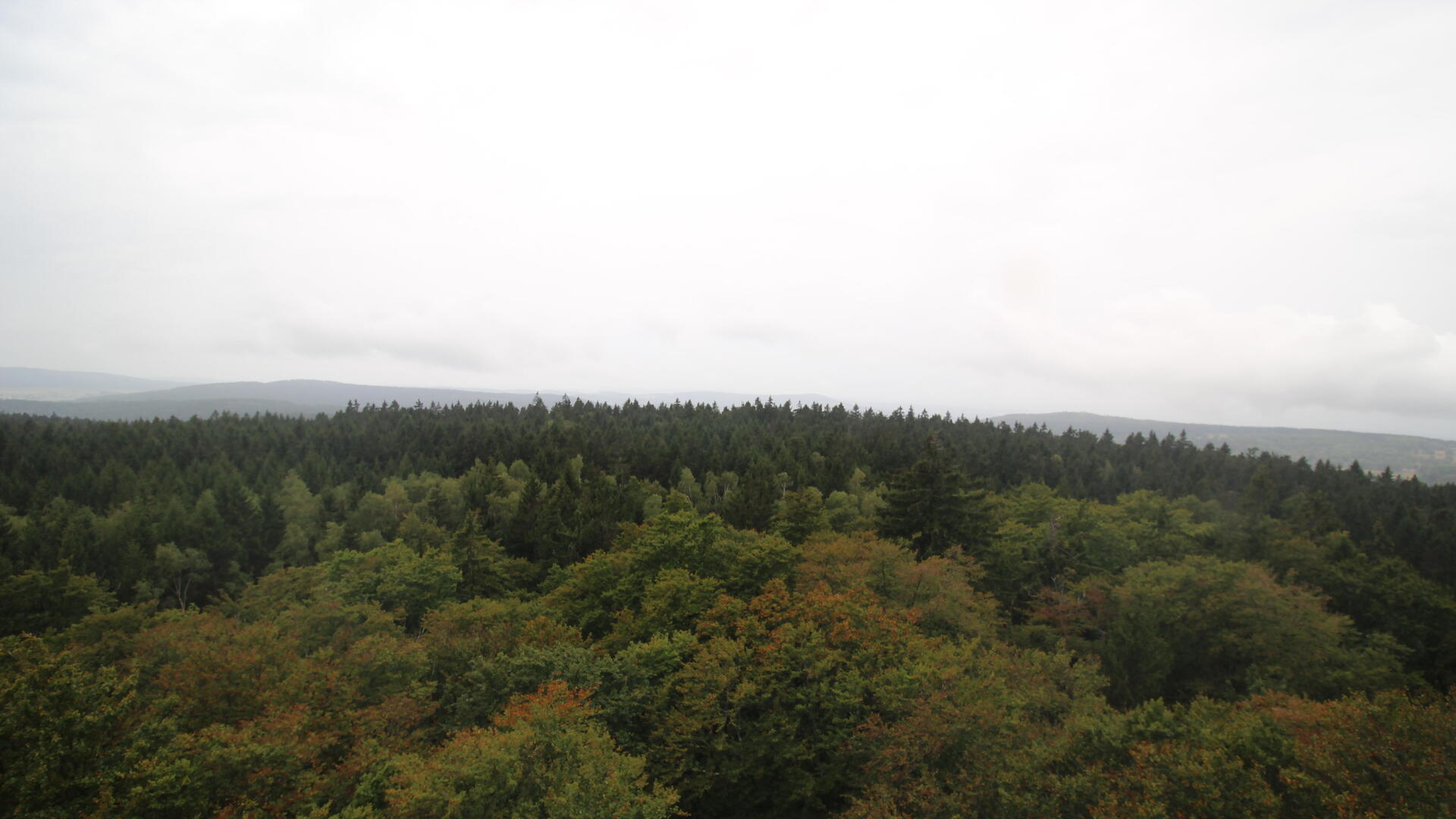 Live webcam view Bohemian Forest Tower West