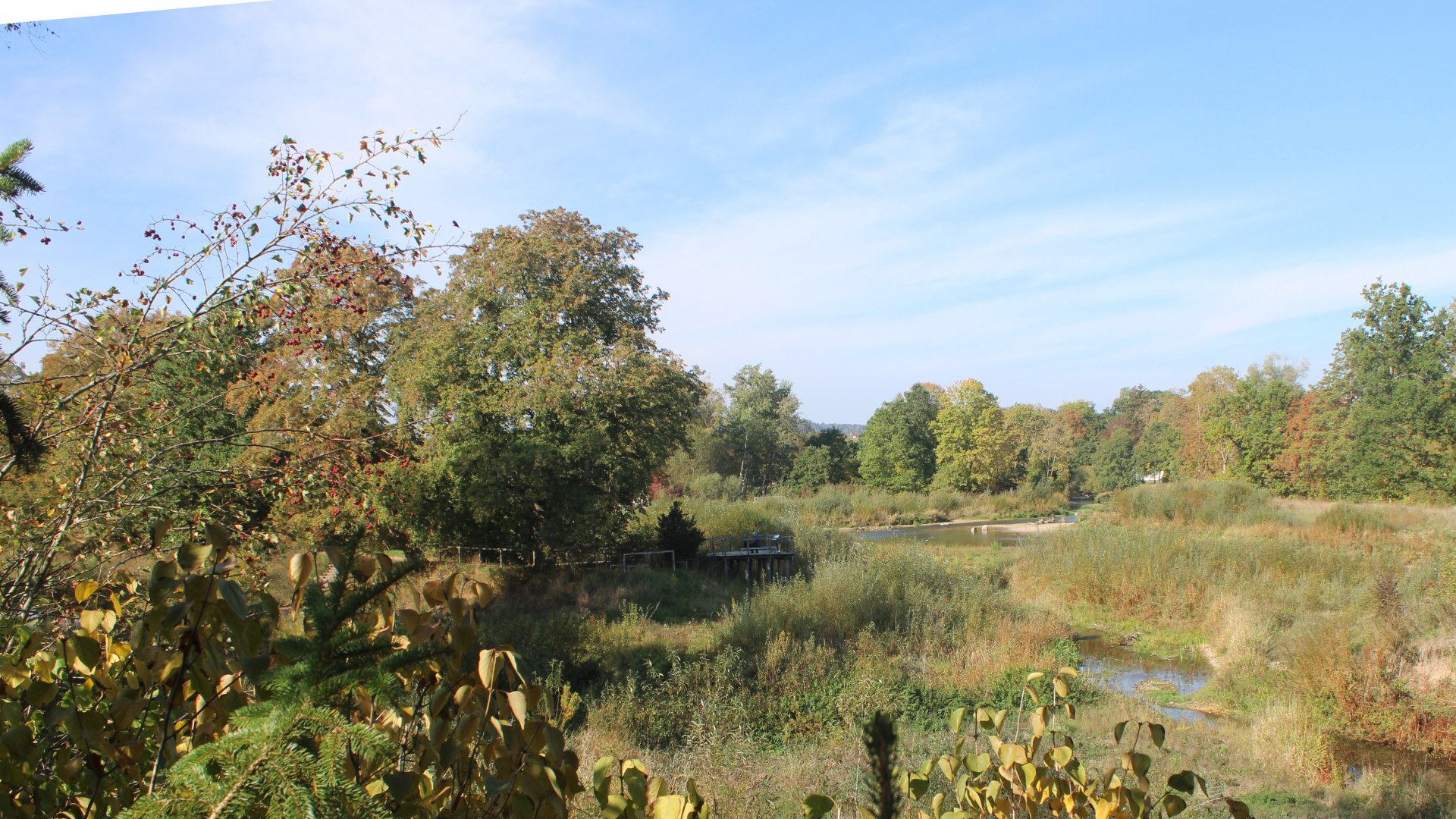 Live webcam view Auepark Donauursprung (Alte Breg)