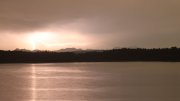 Hartsee Hartsee