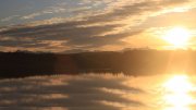 Hartsee
