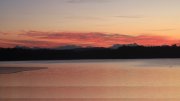 Hartsee