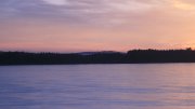 Hartsee