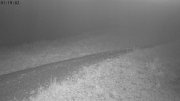 Heutal-Snow Stake