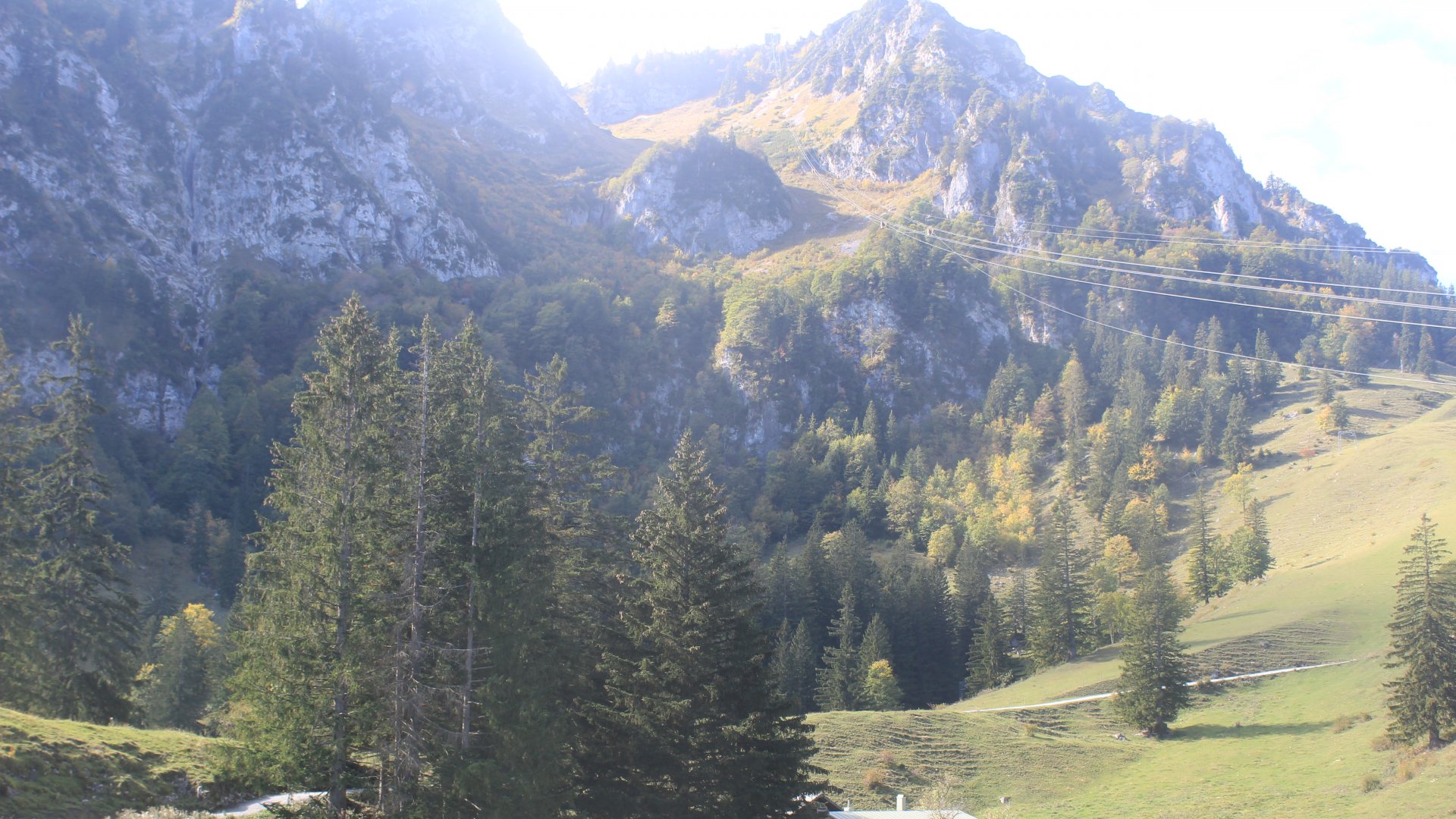 Live webcam view Hochfelln mid-station