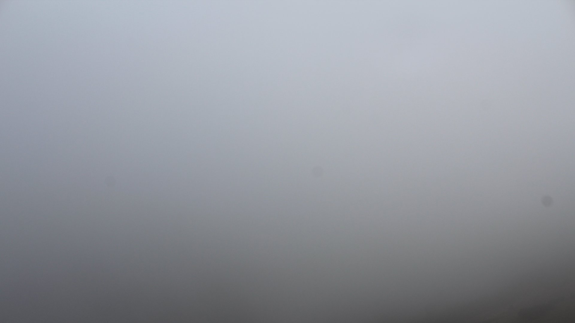 Live webcam view Hochfelln-South