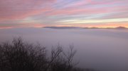 Hochwald-Ost