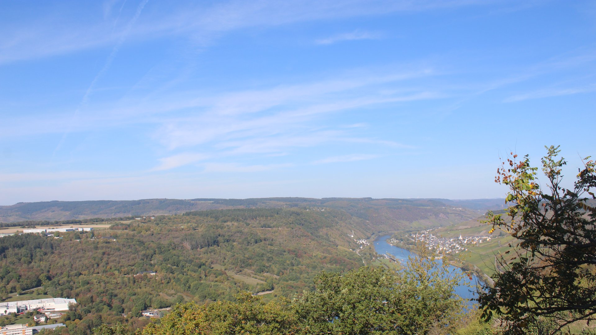 Live webcam view Starkenburg via the Mosel towards Enkirch