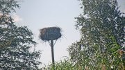 Storchennest Winkl