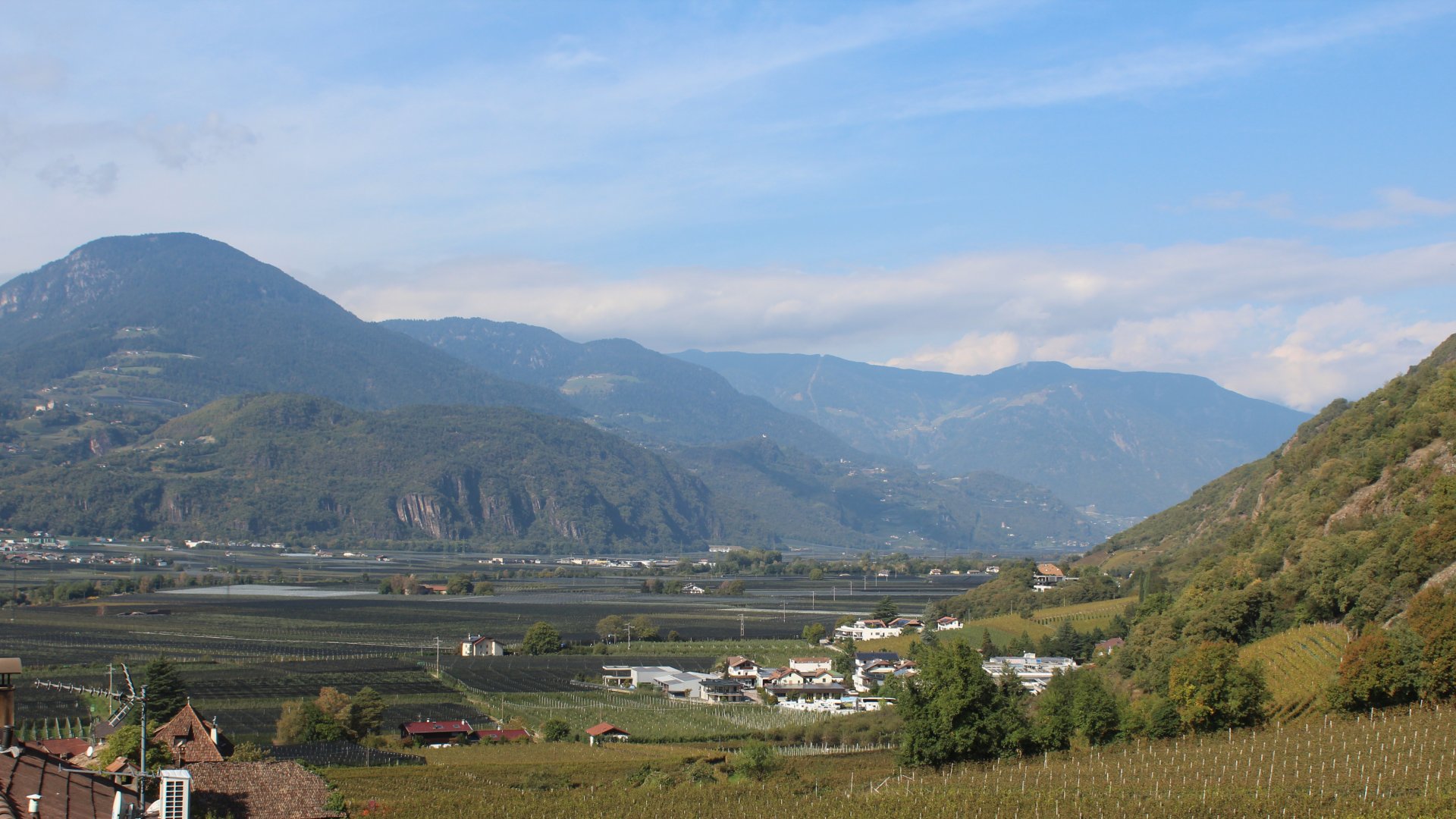 Live webcam view Terlan and the Adige Valley