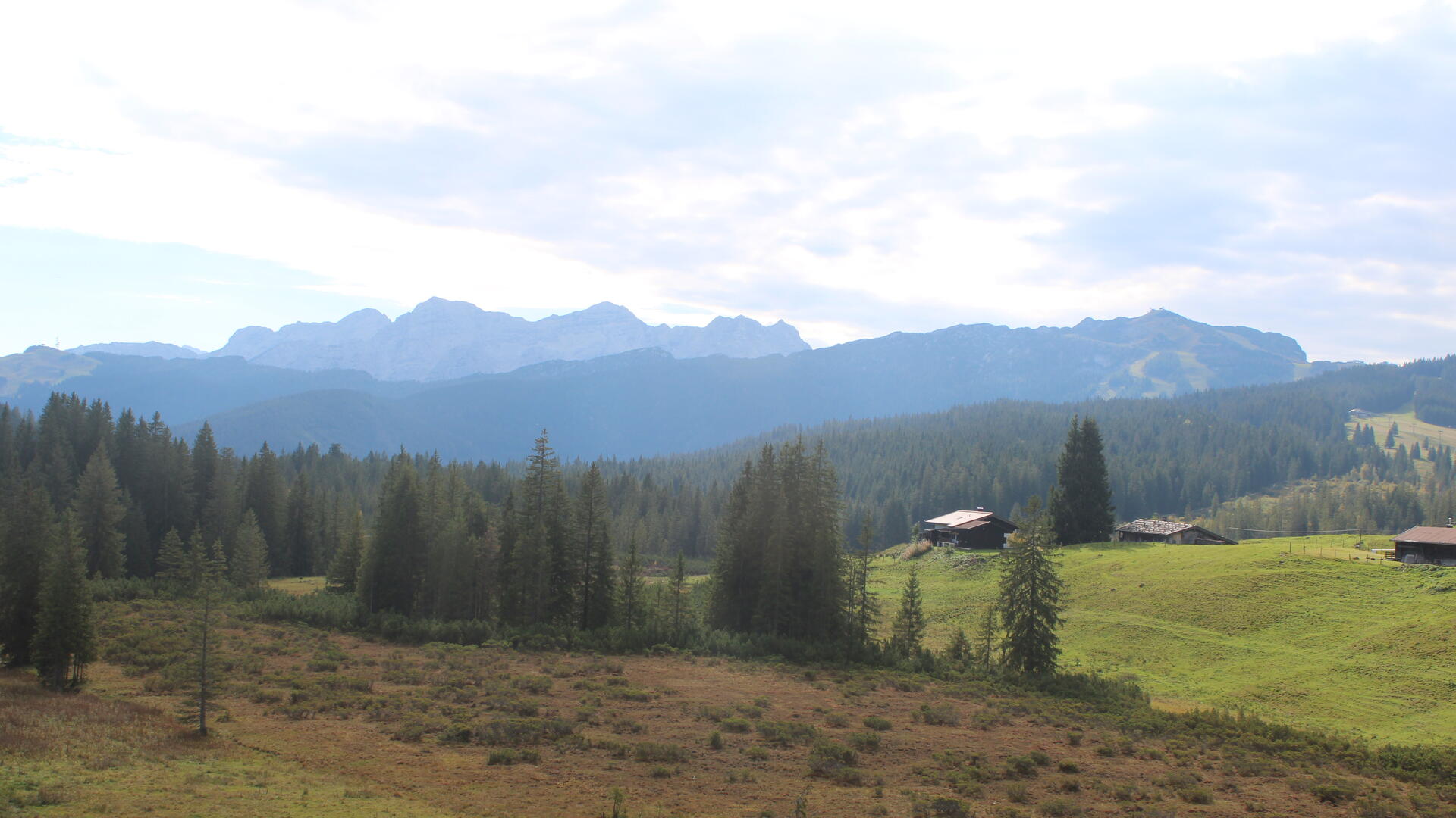 Live webcam view Traunstein Ski Hut Winklmoos