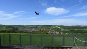 Waldseilgarten-Boxberg