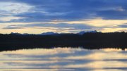 Hartsee