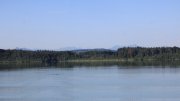 Hartsee