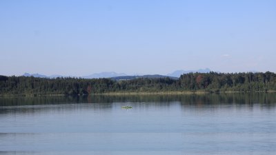 Hartsee
