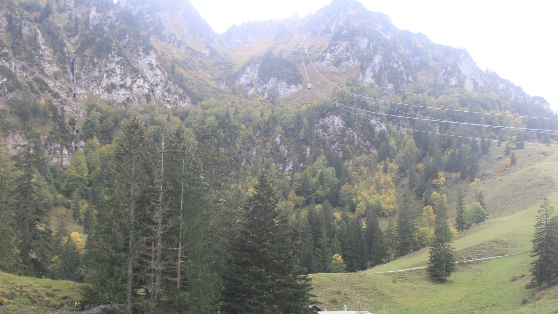 Live Ansicht Webcam Hochfelln-Mittelstation
