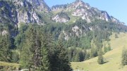 Hochfelln-Bründling