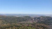 Hochwald