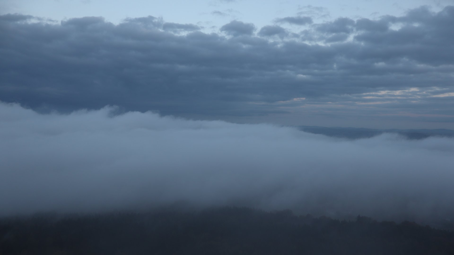 Live Ansicht Webcam Hochwaldturm-West
