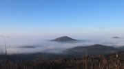 Hochwald-Süd