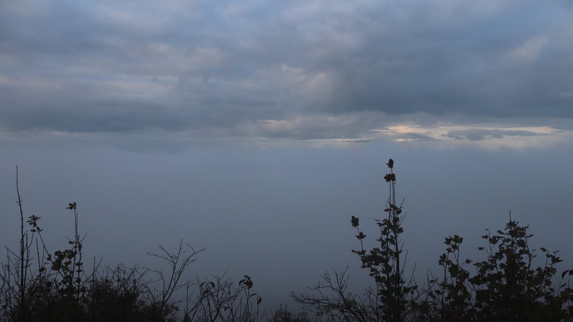 Live Ansicht Webcam Hochwaldbaude-Süd