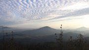 Hochwald