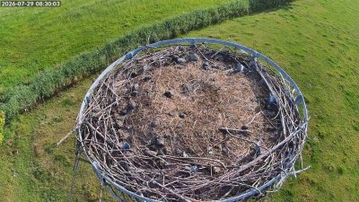 Storchennest Moormerland