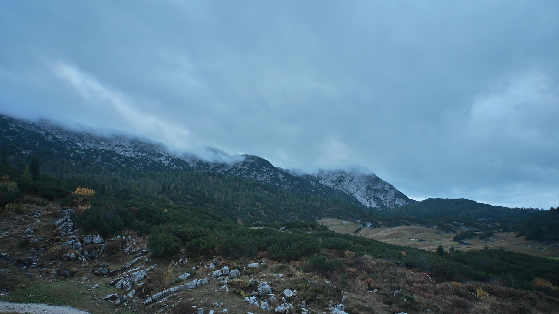 Live Ansicht Webcam Neue Traunsteiner Hütte (Reiter Alpe)