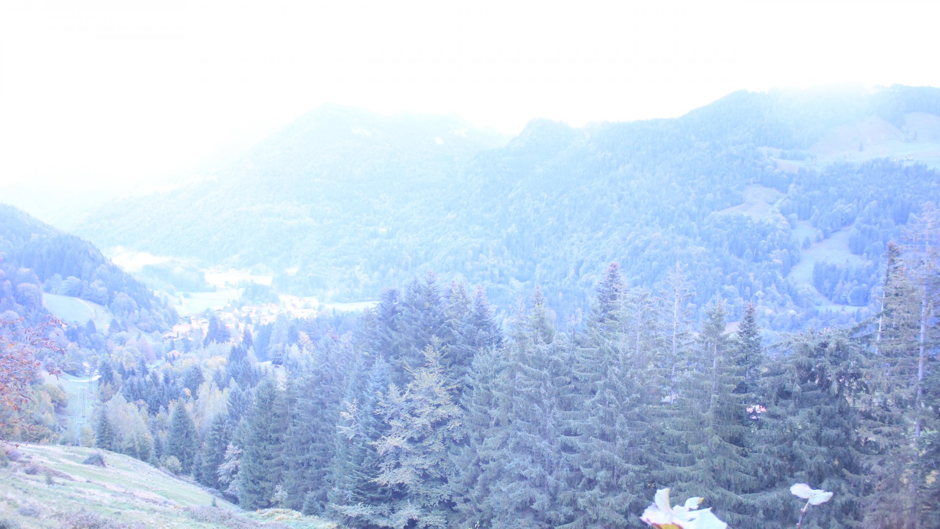 Live Ansicht Webcam Niederndorferberg