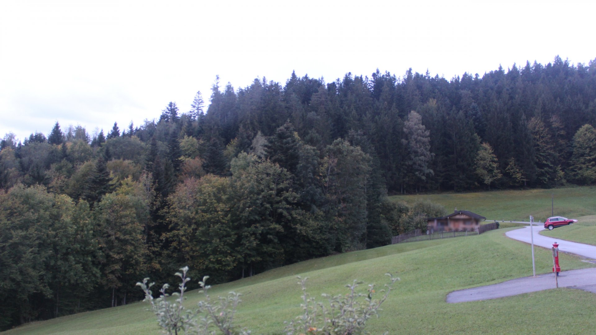 Live Ansicht Webcam Sachrang-Reichenau