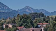 Siegsdorf-Störche