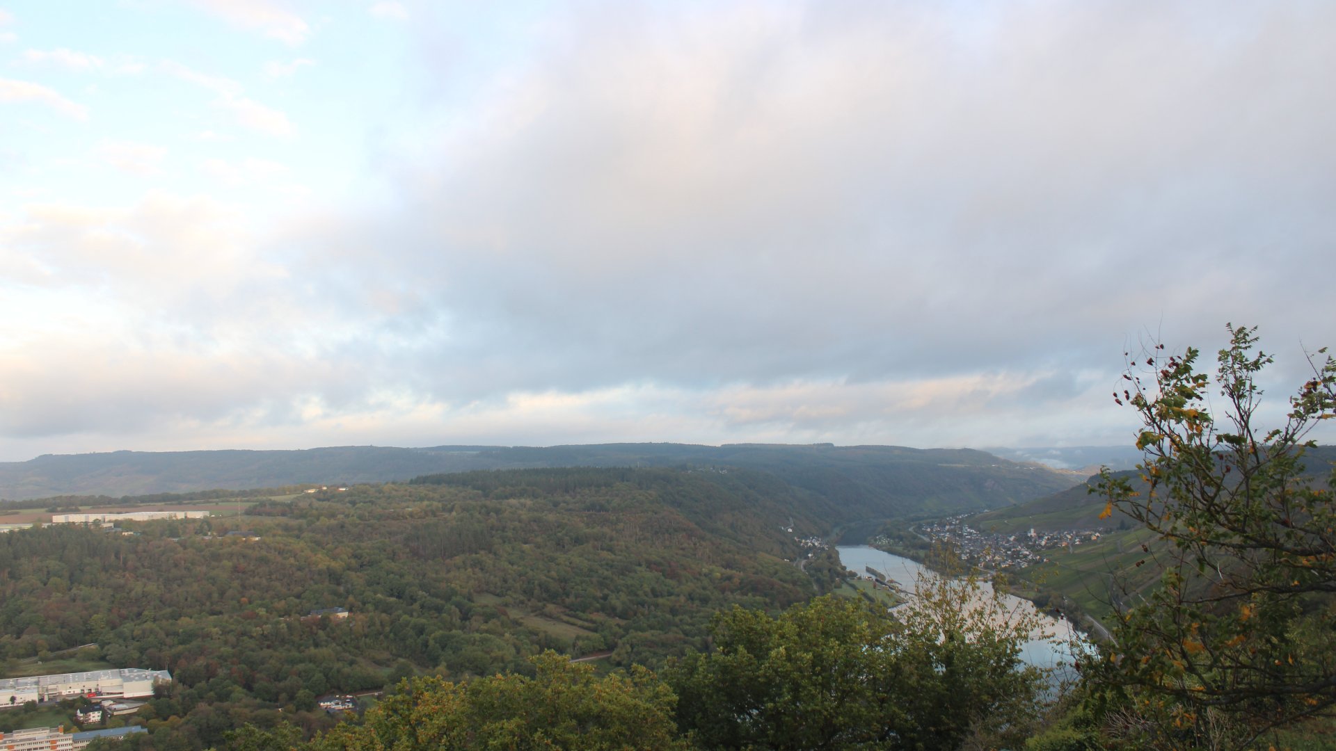 Live Ansicht Webcam Starkenburg über Mosel Richtung Enkirch