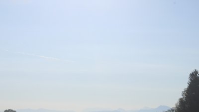 Surberg-Hub