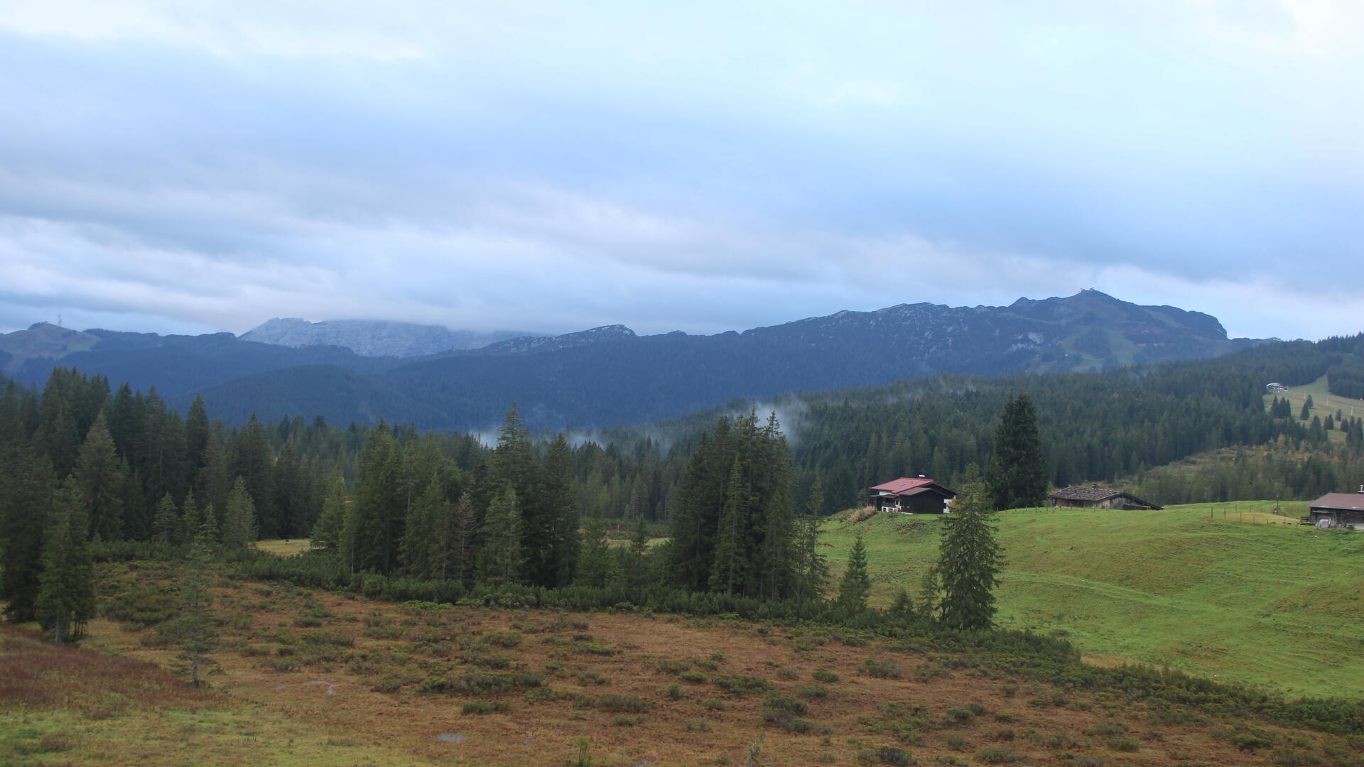 Live Ansicht Webcam Traunsteiner Skihütte Winklmoos
