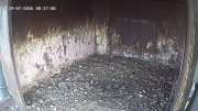 Wanderfalken Hohenkammer #1