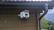 Fotowebcam Installation Sachrang