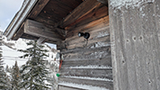 Snow Stake Webcam Heuteal